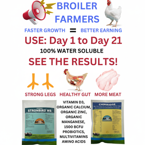 Chikridge Aves de corral y Aves Suplementos vitamínicos Suplementos alimenticios para aves de corral Enzimas y probióticos Suplemento alimenticio para aves de corral al por mayor - Product Image 1