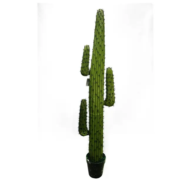 Plastic material Potted Artificial Cactus Tree and Mini artificial Plants Artificial Cactus Plants