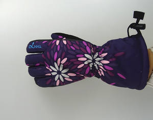 Gants <span class=keywords><strong>de</strong></span> <span class=keywords><strong>ski</strong></span> OEM Gants <span class=keywords><strong>de</strong></span> <span class=keywords><strong>ski</strong></span> à usage quotidien Gants chauds antidérapants résistants à l'usure pour le <span class=keywords><strong>ski</strong></span> et la moto pour la saison d'hiver - Product Image 3