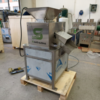 SAIDASHI Industriële Fruitpersmachine Met Verstelbare Rolleropening SUS304 Behuizing voor Citroen, Sinaasappel en Passievrucht