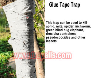 แผ่นกาวดักแมลงแบบม้วน ยี่ห้อทรีส์การ์เดียน สำหรับกำจัดแมลงศัตรูพืชอย่างเป็นมิตรต่อสิ่งแวดล้อม กำจัดแมลงแดงและมอดแดง ป้องกันแมลงสำหรับต้นไม้และผลไม้ - Product Image 6