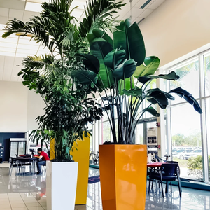 ديكور مكتبي بتصميم حديث 36 بوصة مربع من الألياف الزجاجية متعدد الألوان قائم على الأرض أصيص زهور للاستخدام في الحدائق - Product Image 3