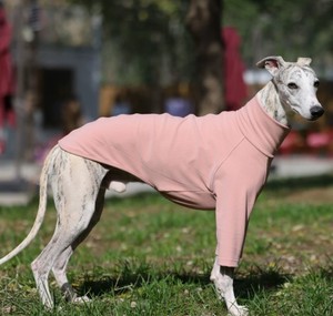 Camiseta de Cuello Alto para Perro, Color Sólido, Estilo Italiano, Marca Little Lingti Huibit, Nueva Colección de Primavera - Product Image 1