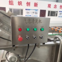 Commerciële fruitwasser / industriële bubbelwasmachine voor groentewasbakken en fruitwasmachines