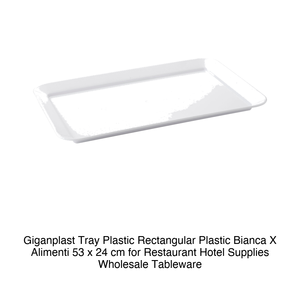 ถาดพลาสติก Giganplast รูปทรงสี่เหลี่ยมผืนผ้า รุ่น Bianca X Alimenti ขนาด 53 x 24 ซม. สำหรับร้านอาหาร โรงแรม ขายส่งอุปกรณ์บนโต๊ะอาหาร - Product Image 2