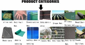 Trung Quốc Nhà Máy Giá nặng trọng lượng tái sử dụng HDPE nông nghiệp thu hoạch <span class=keywords><strong>Olive</strong></span> <span class=keywords><strong>Net</strong></span> <span class=keywords><strong>Olive</strong></span> thu thập <span class=keywords><strong>Net</strong></span> cho trái cây - Product Image 6