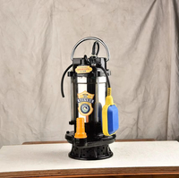 Pompe submersible en acier inoxydable sans balais 1 pouce Dc nouveau design pompe submersible en acier inoxydable résistant à la corrosion