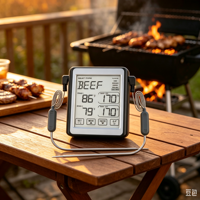 Termometer Daging Digital Plastik dengan Dua Probe, 8 Preset Daging, Layar LCD, Alarm Terprogram, Keamanan Makanan, Penggunaan Dapur & BBQ