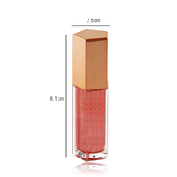 Nouveau Gloss à Lèvres Mat Végétalien Prix Usine Brillant Scintillant Liquide Hydratant Imperméable Haute Pigmentation 30 Couleurs MSDS Minéral