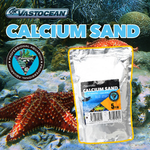 Sable de calcium d'aragonite naturel VASTOCEAN en gros, <span class=keywords><strong>substrat</strong></span> d'<span class=keywords><strong>aquarium</strong></span> sûr <span class=keywords><strong>pour</strong></span> les hermit crabs <span class=keywords><strong>pour</strong></span> les aquariums marins - Product Image 2