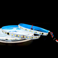 Bande Lumineuse LED 24V 2835 120LEDs/m avec IC Externe WS2811, Haute Luminosité, Effet Course de Chevaux, Lumière Dynamique et Effet Eau Courante, LED Intelligente