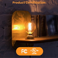 Ampoule LED à filament multi-CCT personnalisable G16.5 G50, verre ambré, 2W 4W 5.5W, globe en verre E12 pour éclairage suspendu décoratif