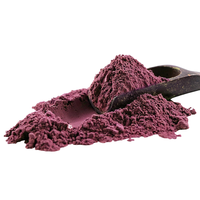 Poudre de jus d'açaï concentré OEM, base de couleur intense pour la production de smoothies et de desserts, fourniture pour cuisines commerciales