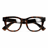 Lunettes de traduction IA G600 Pro : Interprétation simultanée, traduction conversationnelle, reconnaissance visuelle, stockage 32 Go, usage professionnel