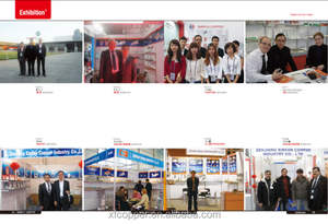 Usine à bas prix vendant directement l'insert de vanne de <span class=keywords><strong>radiateur</strong></span> de contrôle <span class=keywords><strong>thermostatique</strong></span> de conception traditionnelle en laiton avec <span class=keywords><strong>poignée</strong></span> - Product Image 5