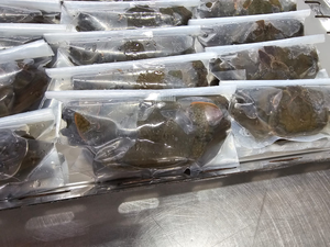 Kualitas tinggi harga yang baik beku cangkang lembut kepiting bulat - Product Image 3