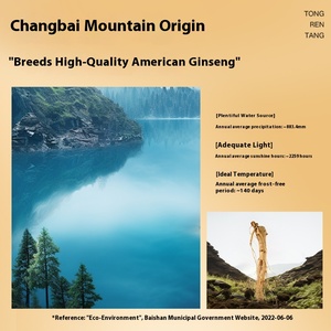 बीजिंग टोरेंटांग अमेरिकी जिनसेंग पैक्स क्विनोफेलियस 100 जी 2.0-3.0 सेमी स्वास्थ्य जड़ी बूटी चाय शरीर को पोषण - Product Image 5