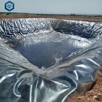 Impermeable Black Heavy Duty Plastic Industrial Fish Farm Pond Liner