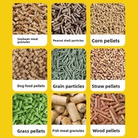 Nouvelle machine à granulés d'aliments pour bétail, coupe-fourrage diesel, granulateur, capacité 1 tonne/h, garantie 1 an, facile à utiliser, 2-4 rouleaux