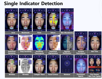 Analyseur de peau 3D, analyseur de peau intelligent, analyseur de peau du visage, testeur d'acné, appareil de beauté