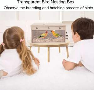 Parakeet yuvalama kutusu şeffaf kuş yetiştiriciliği kutusu doğal ahşap kuş kafesi - Product Image 3