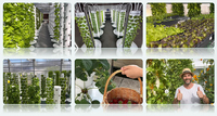 Système d'agriculture verticale hydroponique commercial à 7/9/11/13 étages avec pompe d'arrosage anti-UV et garantie d'un an