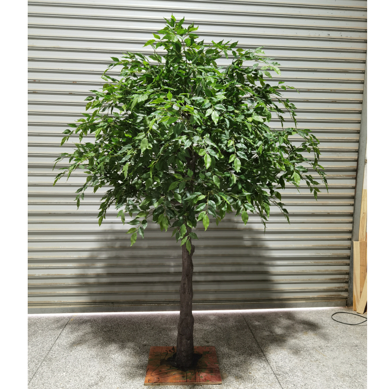 Arbre 6