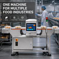 Détecteur de métaux à haute sensibilité automatique en acier inoxydable pour convoyeur à bande, ligne de production alimentaire, industrie alimentaire
