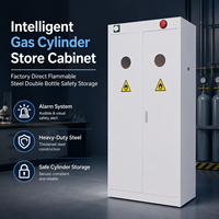 Armoires de stockage intelligentes pour bouteilles de gaz inflammables en acier, à double compartiment, avec alarme, directement de l'usine