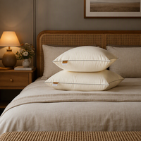 Oreiller de cou personnalisé avec motif de dessin animé, garni de plumes et de duvet, respirant, écologique, lavable, 100% coton, taille Queen et King