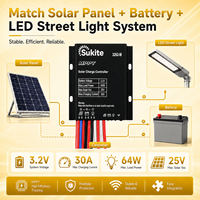 Contrôleur solaire MPPT 3262 3.2V 64W 30A Sukite robuste avec capteur de lumière intégré pour projet d'éclairage extérieur
