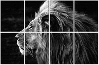 Lion décoratif peinture mur art photos sur panneaux de fibres acoustiques