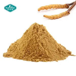 Nutrifirst Supply Organic Cordyceps Mushroom Polysaccharide Cordyceps Militaris Sinensis Extract Powder