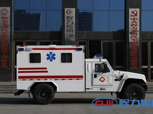 Ambulance tout-terrain 4x4 Dongfeng, conduite à gauche, diesel 265 ch, équipement médical complet, brancard, transfert de patients, assistance médicale - Product Image 3