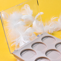 Vente en gros Palette de fard à paupières transparente vide à 6 couleurs avec logo personnalisé Emballage compact de fard à paupières cosmétiques