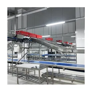 中国制造商水牛屠宰场设备双层输送线用于奶牛屠宰加工设计