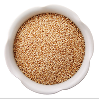 Semillas de Sésamo Amarillo Naturales, Horneadas y Secas, de Alta Calidad, 100% Puras, Opción Picante, Origen Shandong, China, Exportación al por Mayor