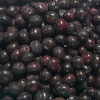 Bulk Wholesale Exporteur Iqf Bevroren Bosbessen Verse Prijzen Voor Bevroren Fruit