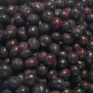 Grosir grosir ekspor IQF Blueberry Frozen Harga segar untuk buah Frozen - Product Image 3