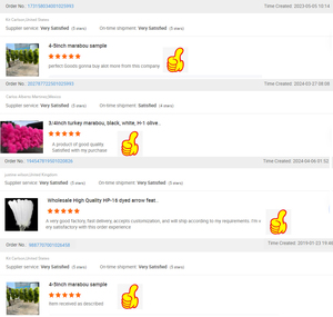 <span class=keywords><strong>Plumes</strong></span> de dinde marabou à <span class=keywords><strong>plumes</strong></span> rouges/noires à motifs de sang, véritable plume décorative verte pour bricolage, matériel volant - Product Image 6