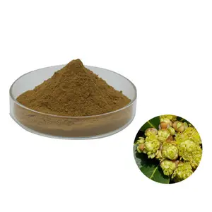 Hot Sale 4:1 Laurel Extract Powder Laurel Powder Laurel Leaf Extract Powder