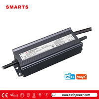 Driver LED Wifi 100w Tahan Air IP67 Dapat Diredupkan Nirkabel Menggunakan Modul TUYA