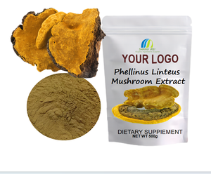 Venta caliente Phellinus Igniarius Extracto de alta calidad Phellinus Linteus Extracto de hongo <span class=keywords><strong>Morin</strong></span> - Product Image 3