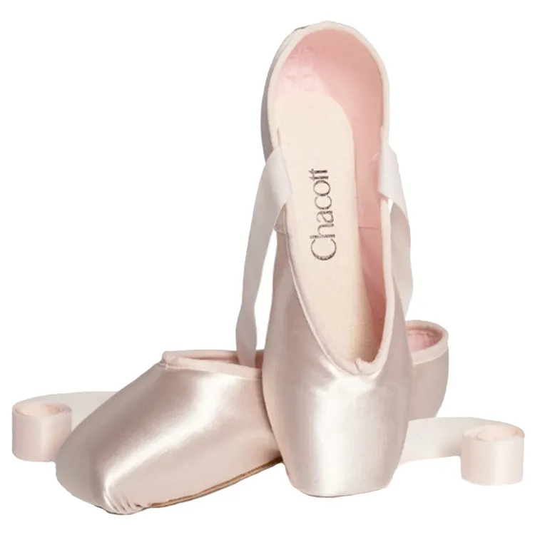 dance ballet shoes