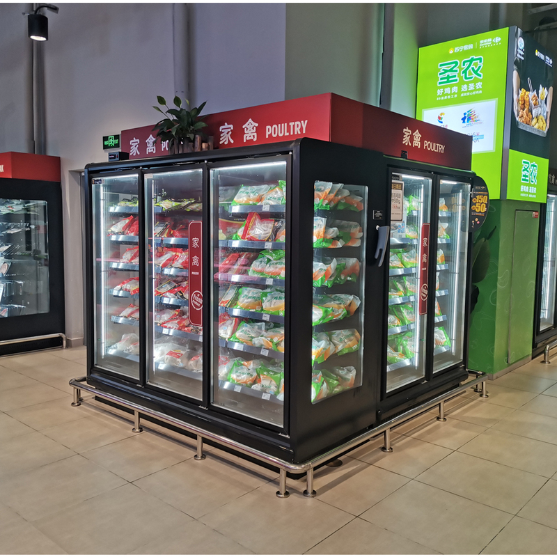 Frozen Food Commercial Vertical Freezer Supermarket