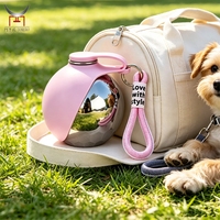 Bouteille d'eau portable pour animaux de compagnie en acier inoxydable 304, forme de ballon de football, avec bol à boire en silicone, pour la randonnée en plein air