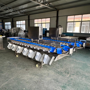 Full Automatic Potatoes Coco Grader Crab Crayfish Sorting Machine Check Weight Sorter Grading Machine With Best Price - Product Image 1