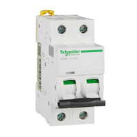 Interruptor Automático Miniatura (CA) Serie ACTI9 IC65N Tipo C/D 1/2/3/4P para Protección de Circuitos, Suministros Eléctricos