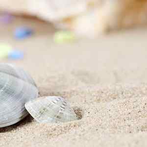 Filippijnse Zand, Schelpzand, Koraalzand <span class=keywords><strong>Aquarium</strong></span> <span class=keywords><strong>Aquarium</strong></span> <span class=keywords><strong>Aquarium</strong></span> Landschapsarchitectuur - Product Image 3