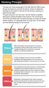 Máquina de Depilación Láser de Diodo 2 en 1, Pico y Diodo Picosegundo, Eliminación de Tatuajes con Hielo, Portátil - Product Image 3